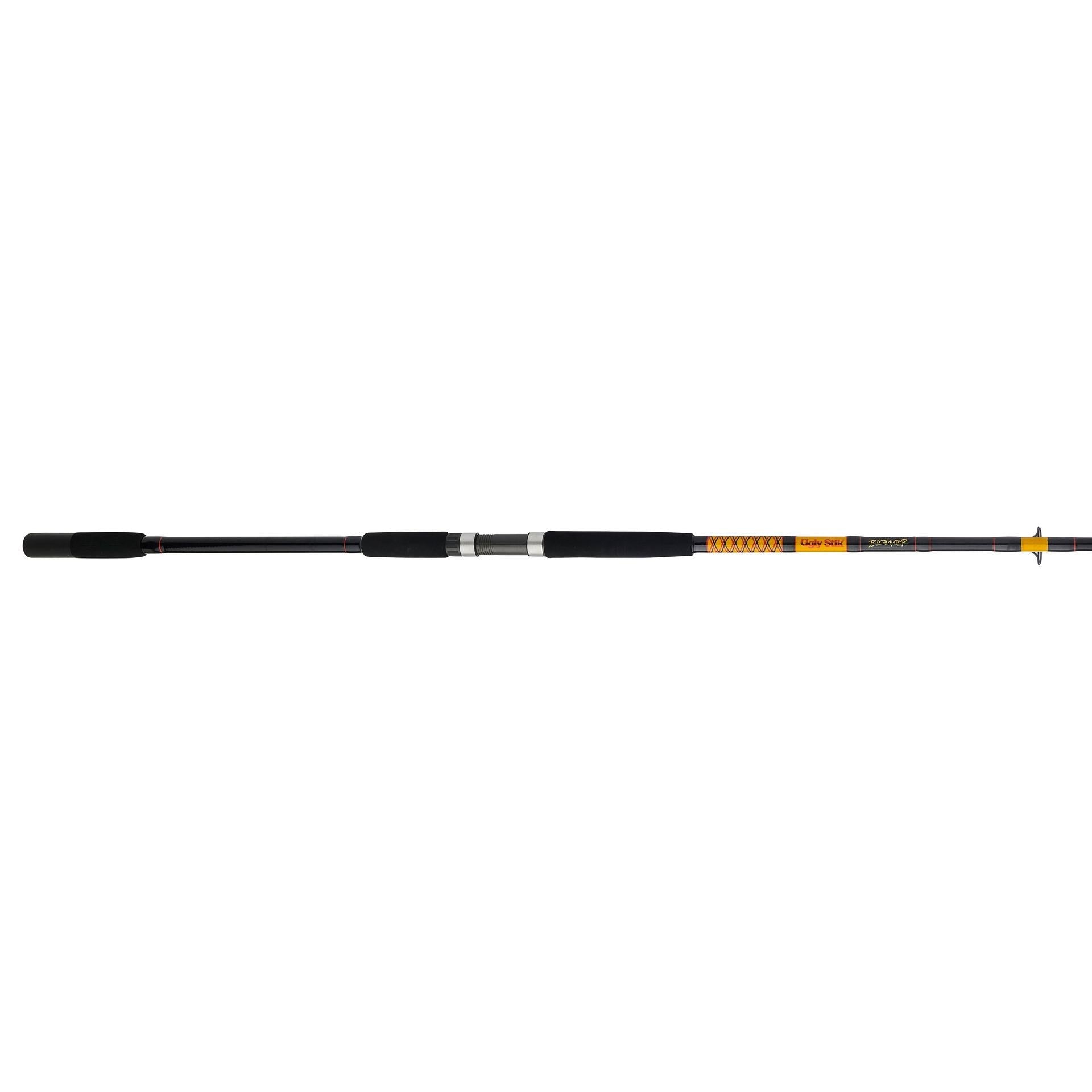 Bigwater 2-Piece Spinning Rod